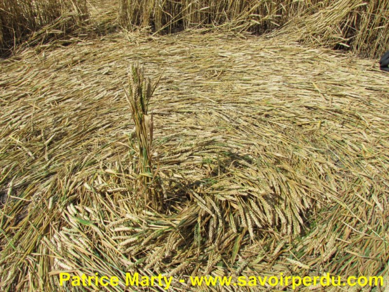 Etchilhampton (2), Wiltshire crop circle, aerial photo 44